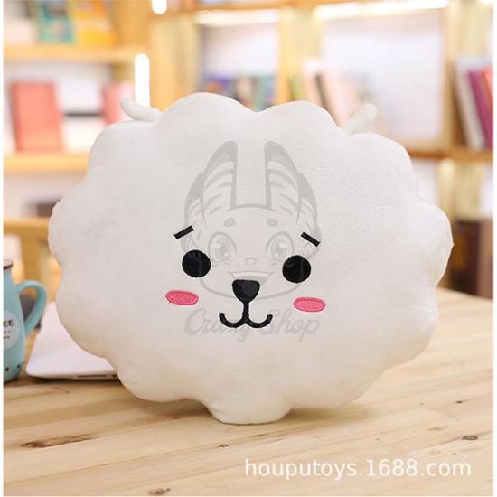 Picture of BT21 RJ pillow