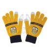 Picture of Harry Potter Hufflepuff gloves
