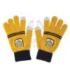 Picture of Harry Potter Hufflepuff gloves