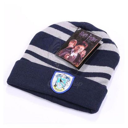 Picture of Harry Potter Ravenclaw hat