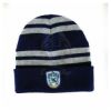 Picture of Harry Potter Ravenclaw hat