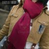Picture of Attack On Titan Mikasa scarf