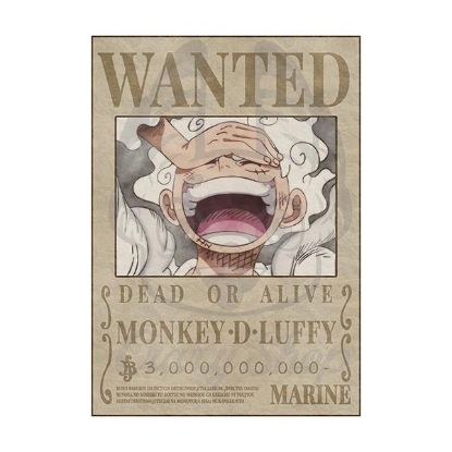 Picture of One Piece wanted posters