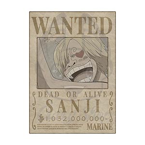 One Piece Wanted Posters