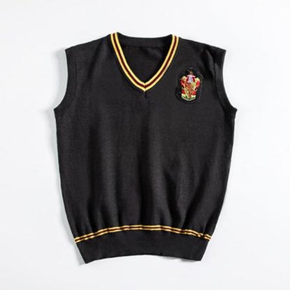 Picture of Harry Potter Gryffindor vest