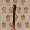 Picture of Harry Potter Neville wand